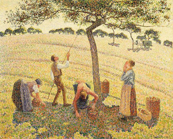 Camille Pissarro Apple harvest at Eragny oil painting picture